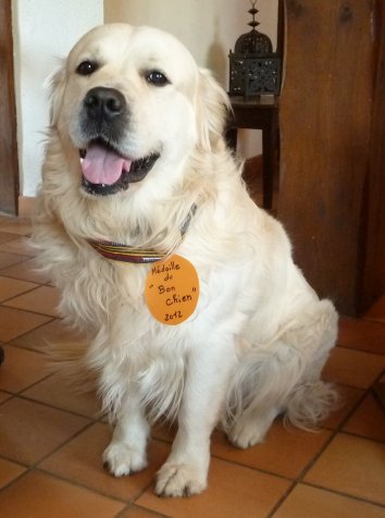 bonchien.jpg (30322 octets)